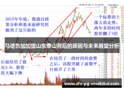 马德鲁加加盟山东泰山背后的原因与未来展望分析