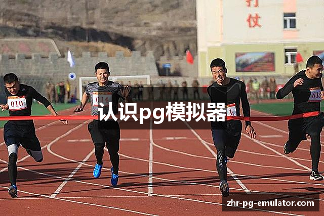 认识pg模拟器